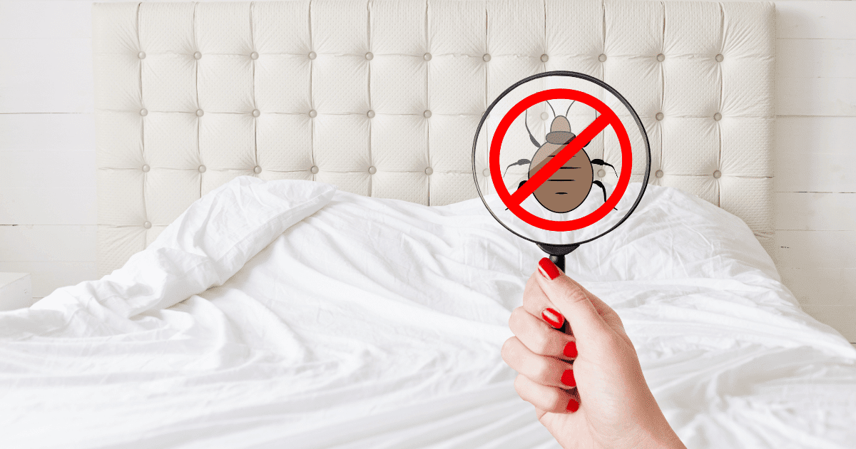 do cockroaches eat bed bugs?